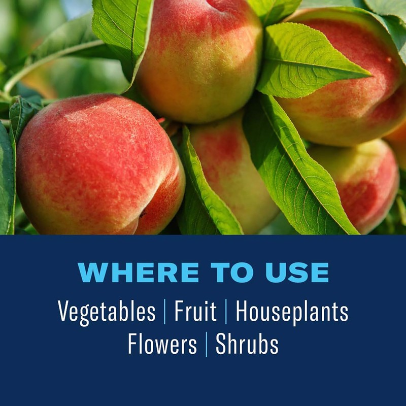 BioAdvanced Organics Brand Neem Oil, Ready-to-Use, 1 Gal