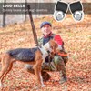 SCENEREAL Large Bell for Dog Collar, 2 Pack 1.5" Extra