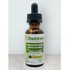 mySuccus Indian Borage (Mexican Mint) Tincture- Respiratory Support