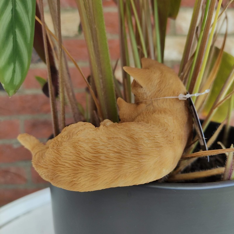 Vivid Arts - Ginger Cat & Kitten - PLP-115