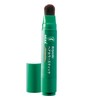Sastty Hair Color Stick for Gray Hair (Natural Brown)