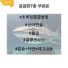 Top grade Triple Up Boswellia 3 months supply / 최고등급