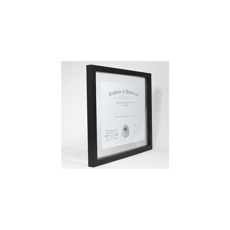Lawrence Frames Multi Use Float Document Frame, Black, 11x14