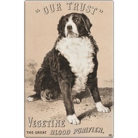 Our Trust - Vegetine The Great Blood Purifier Vintage Advertisement Reproduction - 2" x 3" Rectangle Magnet
