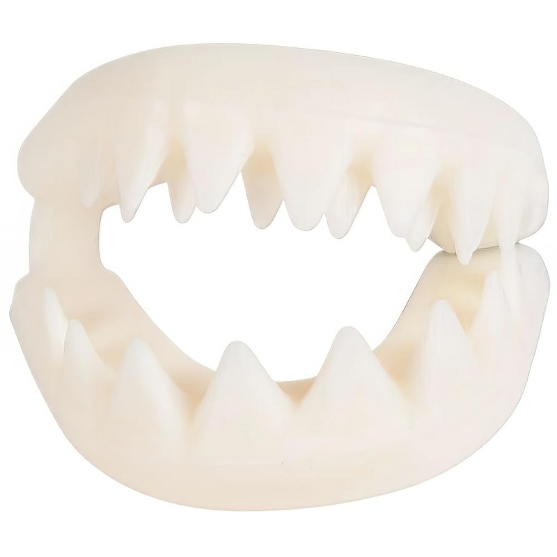 Rhode Island Novelty Great White Shark Teeth