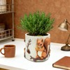 Unique Squirrel Plant Pots Cute Succulent Pots with Drainage Hole