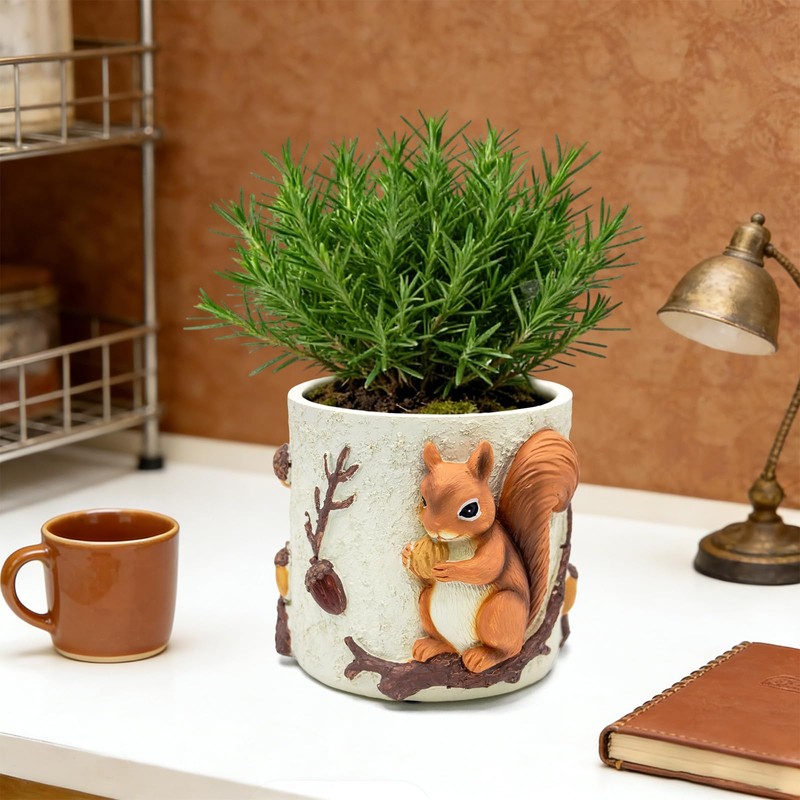 Unique Squirrel Plant Pots Cute Succulent Pots with Drainage Hole