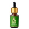 CORE & PURE Tea Tree Grade-A, Essential Oil |Natural, Potent|