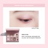 HEME Eye Color Palette 9g (Apricot Citrus)