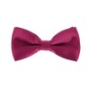 Boys Fuchsia Bow Tie