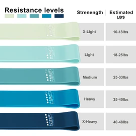Resistance Loop Exercise Bands Exercise Bands for Home Fitness, Stretching, Strength Training, Physical Therapy,Elastic Workout Bands for Women Men Kids, Set of 5 (Blue)