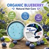 Blueberry Fields Shampoo & Conditioner, for Hair Strengthening | Blueberry