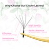 LLBA 5D W-Shaped Clover Eyelashes Extension | 0.07mm Thickness |