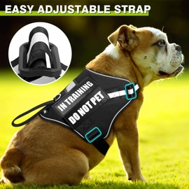 Service Dog Harness and Leash Set, Training Dog Vest with 10 Dog Patches, Emotional Support Therapy Dog Vest Harness for Small Medium Large and Extra Large Dogs(Black, XS)