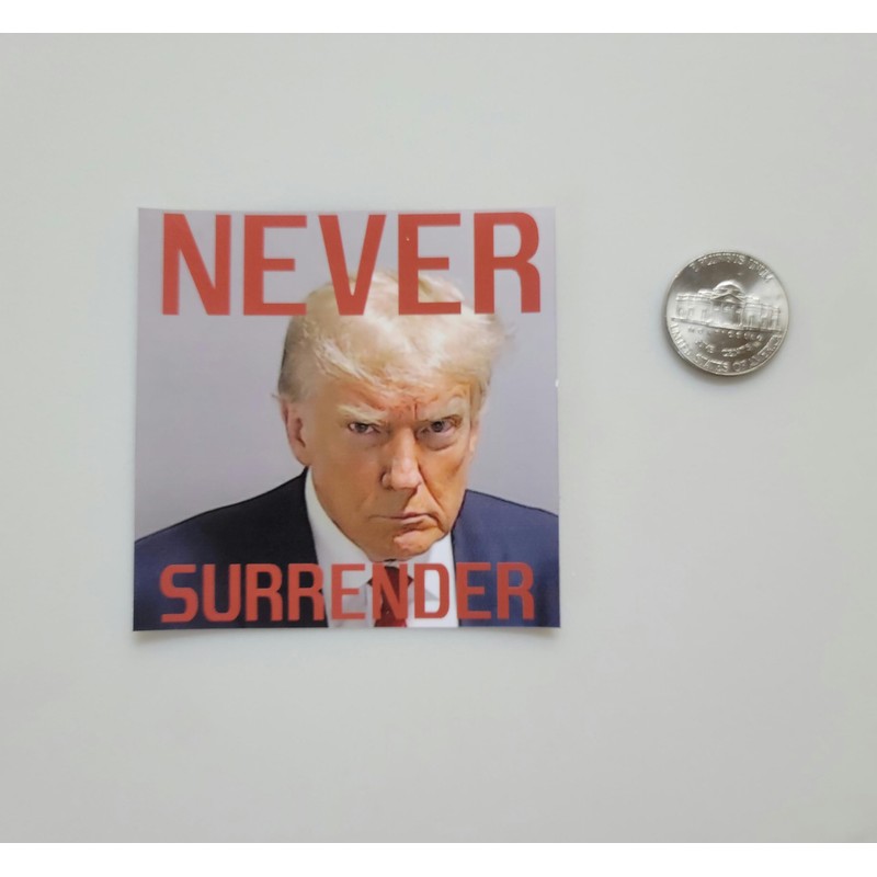 Generic (10 Pack) Never Surrender Trump Mugshot Sticker