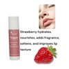 6er Set Bio Lippenbalsam - 100% natürlich - 6 Geschmacksrichtungen