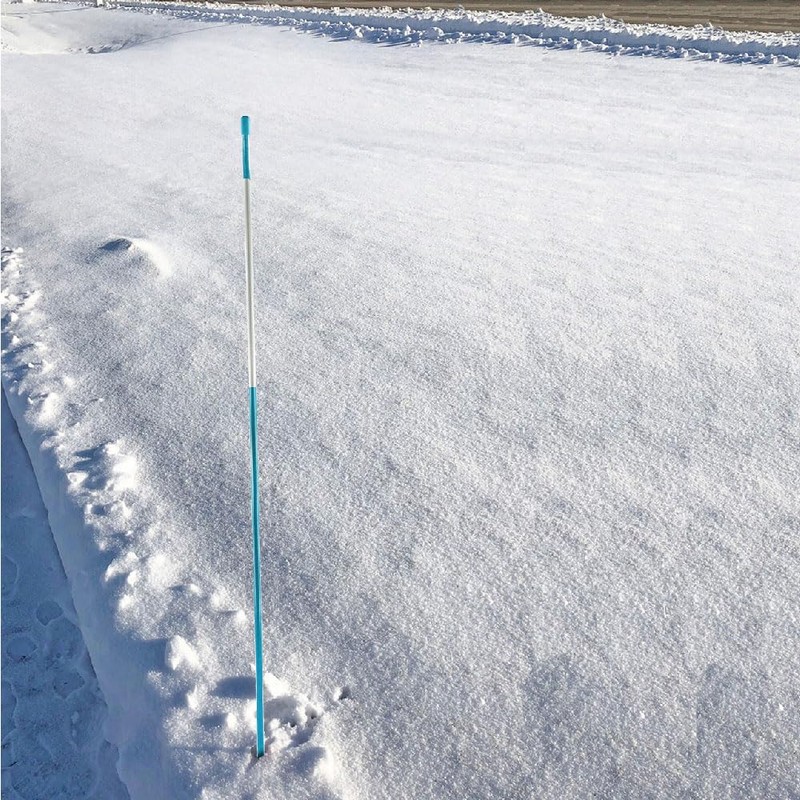 | (Pack of 100) Snow Stakes 48" Long, 5/16" Diameter,