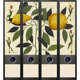 File Art AJ037 Design Labels Folder Spine Labels