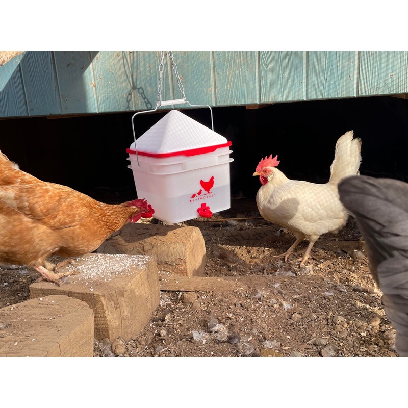 RentACoop 2 Gallon Chicken BPA-Free Plastic Bucket Waterer Set with