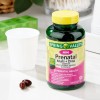 Multivitamínico Prenatal Mini Salud Fetal - Spring Valley - 120