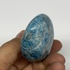 WatanGems 137g,2.4"x1.9"x1", Blue Apatite Palm-Stone Tumbled Reiki Energy, Metaphysical Stone,
