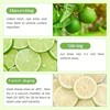 Haomly Freeze-dried Seedless Lime Slices,2.8oz(80g),Dehydrated Limes for Cocktails,Tea, Snacking, Baking,