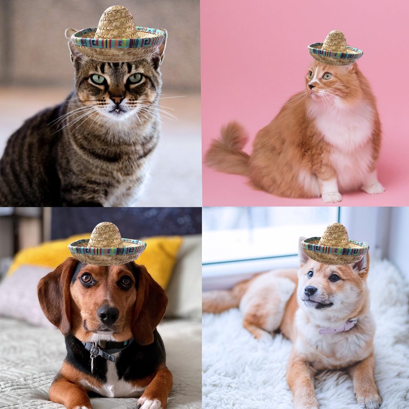 AWOCAN Cat Sombrero Hat Cat Hat Pet Sombrero Hat Cinco