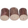 Wood Stakes Cylindrical Pine Log DIY Painting Material Flower Pot
