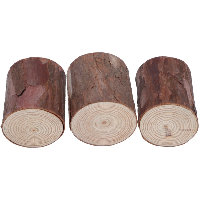 Wood Stakes Cylindrical Pine Log DIY Painting Material Flower Pot