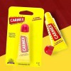 Gita 카멕스 클래식 단지 모이스처라이징 립밤 7.5g x2SET(SH) (46605881) Carmex Classic Jar Moisturizing Lip Balm 7.5g x2SET(SH) (46605881) [Basic]