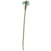 JTT Professional Series Palm Trees 6" HO/O Scale - 2