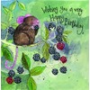 Alex Clark Mouse and Berries Birthday Card - Watercolour -