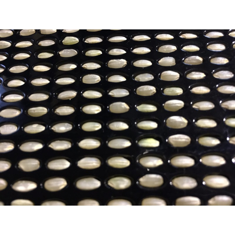 Fujiwara Scientifics Grain Counting Board for Brown Rice (100 grains)