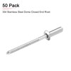 DTGN 3.2 mm x 10 mm (DxL) Blind Rivets -
