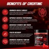 Creatine Monohydrate Gummies – 5g Strength & Energy Boost –