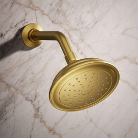 Kohler 72774-G-2MB Artifacts® Single-function showerhead, 1.75 gpm, Vibrant Brushed Moderne Brass