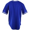 Mens Plain Solid Color Baseball Jersey (S, ROYAL)