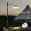 Camping String Lights 32.8ft 2 in 1 Rechargeable IP67 Waterproof