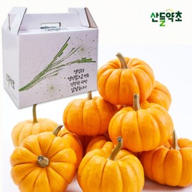 Liquid Extraction Old Pumpkin Tea 110ml / 액상추출 늙은 호박차 110ml X 50포 건강 한방차 엑기스