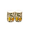 William Morris Fruits Salt and Pepper Shakers Ceramic Kitchen Serving