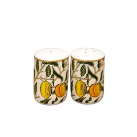 William Morris Fruits Salt and Pepper Shakers Ceramic Kitchen Serving Cruet Set