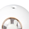 Humidifier Aroma Diffuser USB Power Supply 300ml Capacity Auto Shutdown
