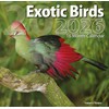 2026 Exotic Birds Full Size Wall Calendar for Planning, Scheduling,