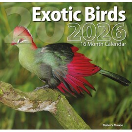 2026 Exotic Birds Full Size Wall Calendar for Planning, Scheduling, and Organizing