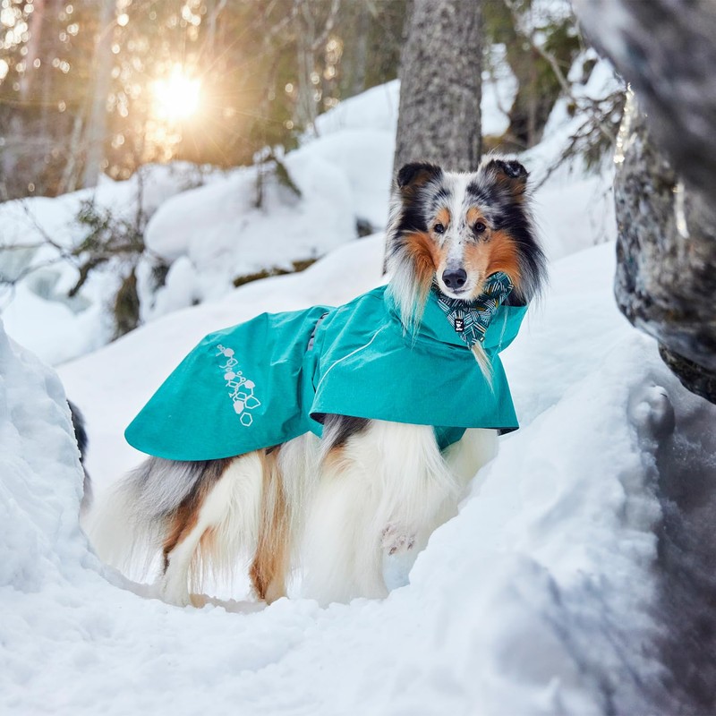 Monsoon Coat II Eco Dog Coat (Peacock 35)