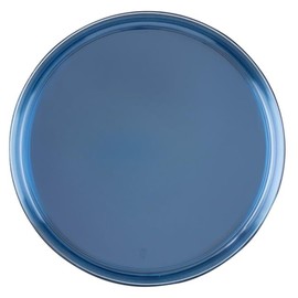 10 inch Blue Transparent Plastic Dinner Plates – Disposable, Elegant, Versatile Plates for Everyday Use, Parties, Desserts, Special Occasions – BPA-Free, Easy to Clean, Stylish Tableware (60)