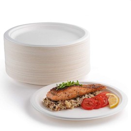 EVYIENEN Pack of 100 paper plates, 100% biodegradable and compostable, environmentally friendly, durable, recyclable dinner plates, perfect for picnics, barbecues (15.2 cm)