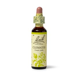 Bach Original Flower Remedies (Clematis) Live The Day, Be Focused, Emotional Wellness, Natural Flower Essence, 20ml