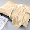 Moonlight Bedding Satin Pillowcases 2 Pack - Champagne Silk Pillowcase