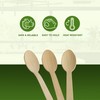Ecowise Strong Disposable Wooden Spoons Pack of 100 Ecofriendly Biodegradable